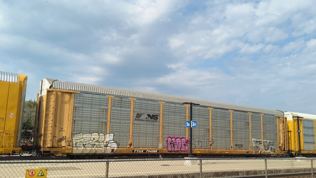 NS 49264 (Body) TTGX 704388 (Flat)